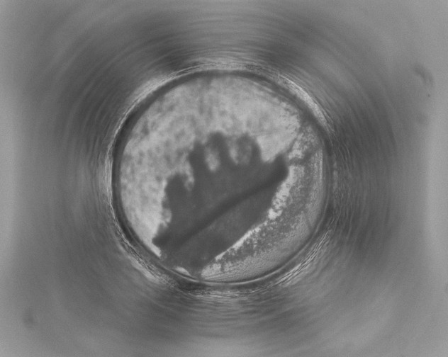 X0000115351035200912011047