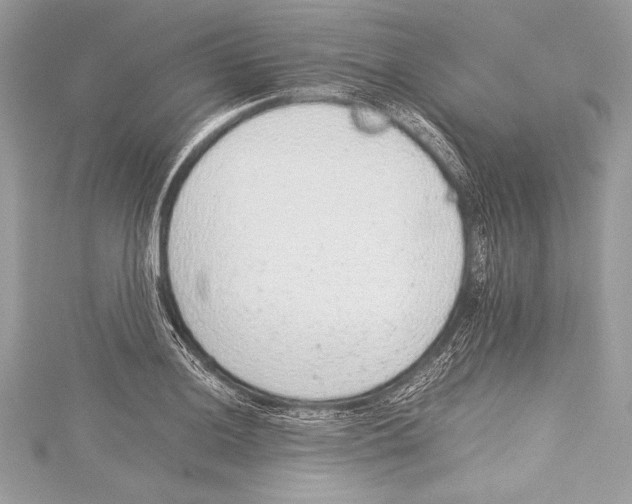 X0000115351036200912011047