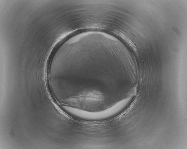 X0000115351037200912011048