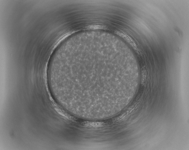 X0000115351039200912011048