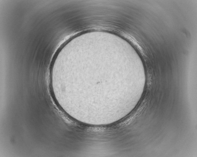 X0000115351040200912011048