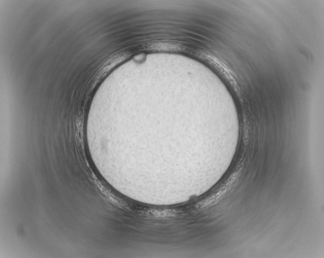 X0000115351041200912011048