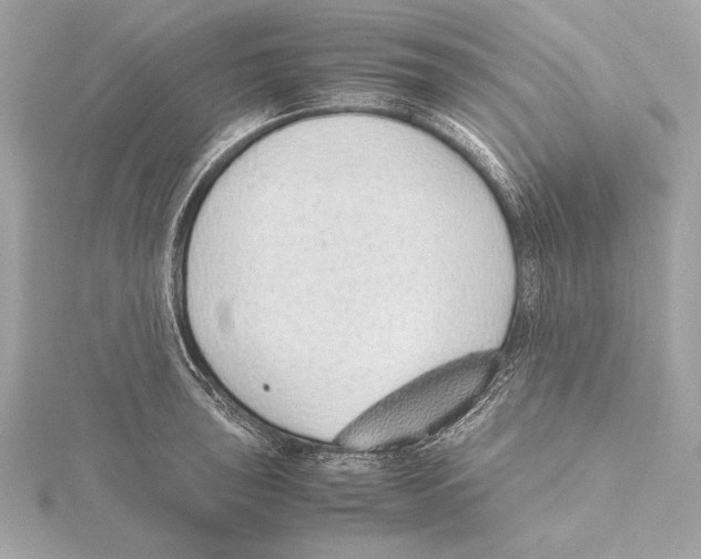 X0000115351043200912011048