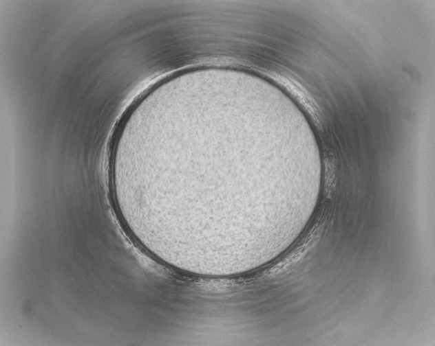 X0000115351046200912011048