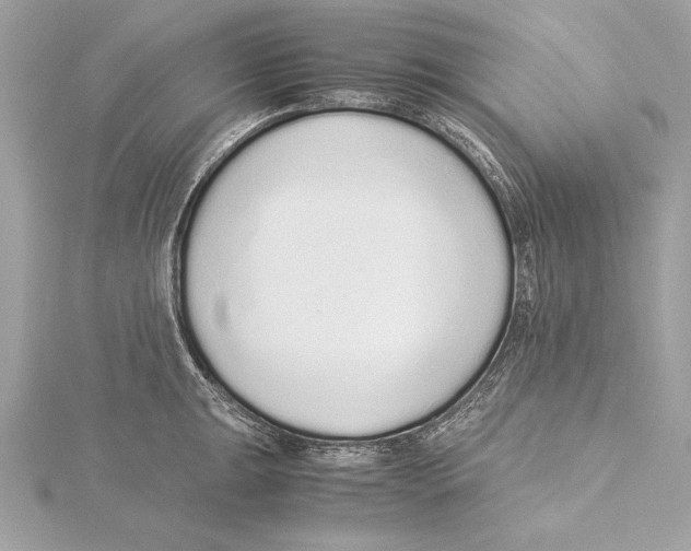 X0000115351047200912011048