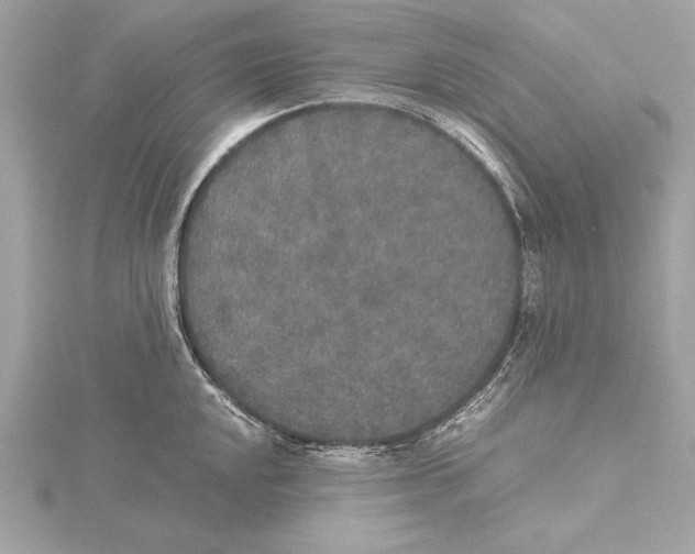 X0000115351048200912011048