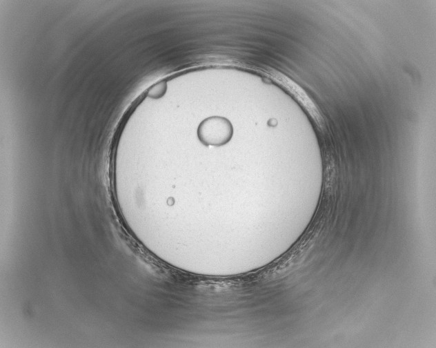 X0000115351051200912011048