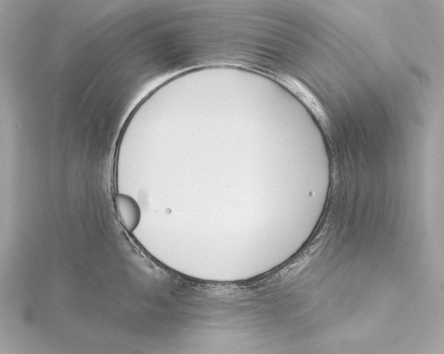 X0000115351052200912011048