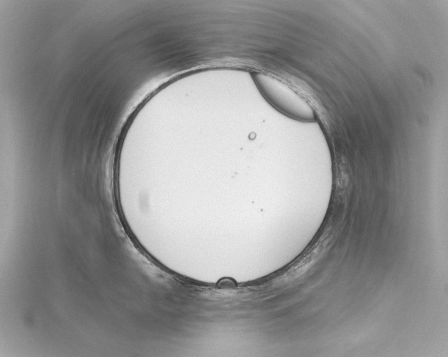 X0000115351054200912011048