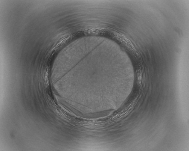 X0000115351060200912011047