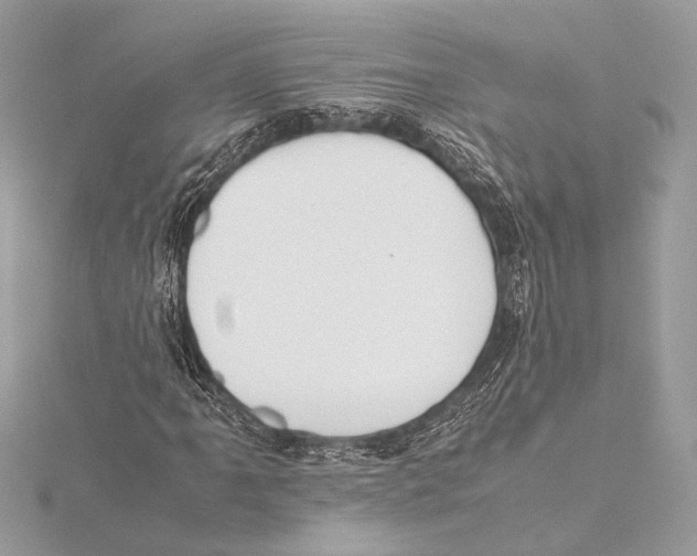 X0000115351061200912011047