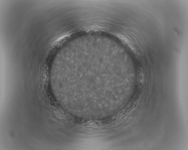 X0000115351063200912011047