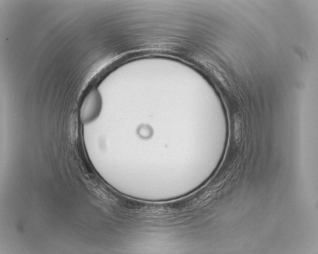 X0000115351069200912011047