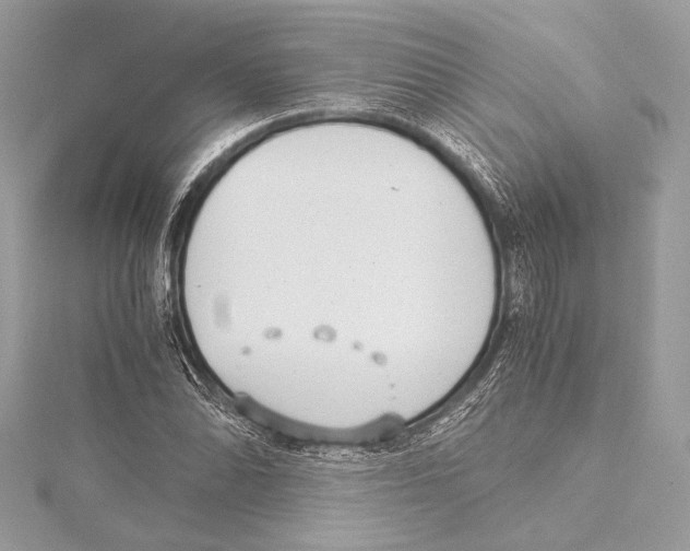 X0000115351070200912011047