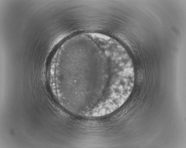 X0000115351071200912011047