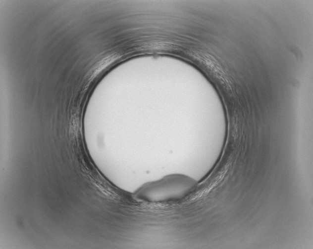 X0000115351073200912011047