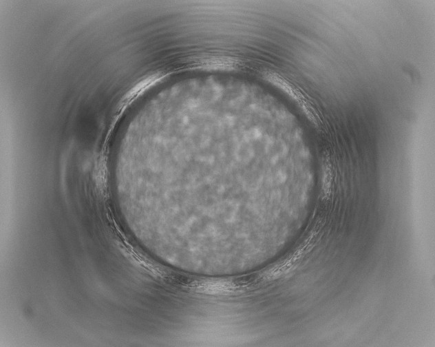 X0000115351074200912011047