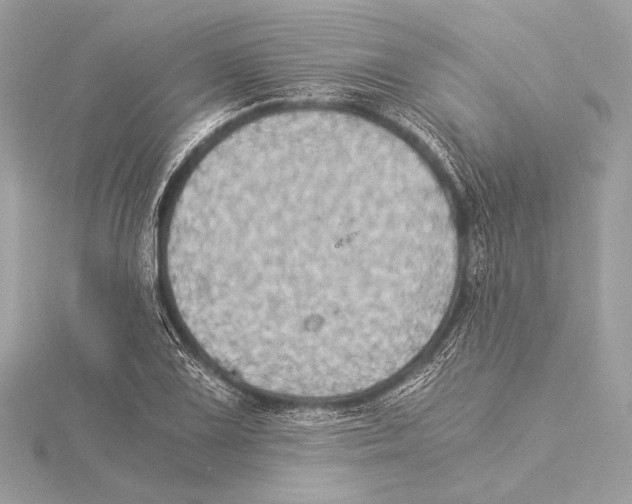 X0000115351075200912011047