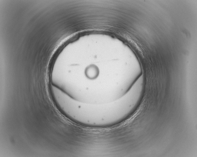 X0000115351077200912011047