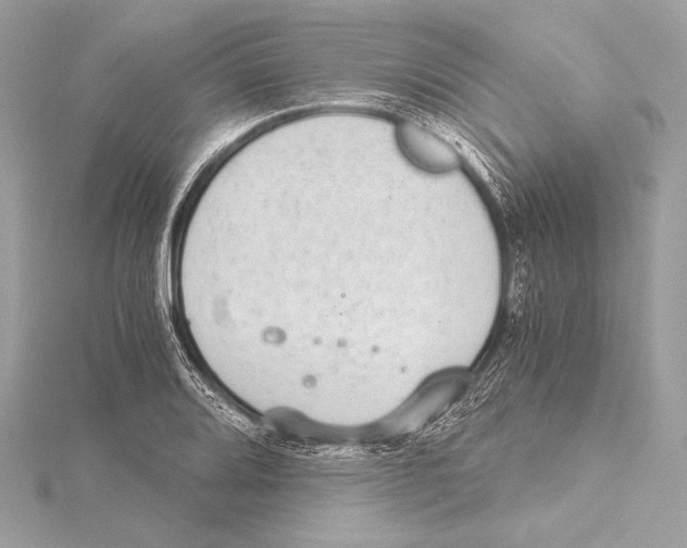 X0000115351080200912011047