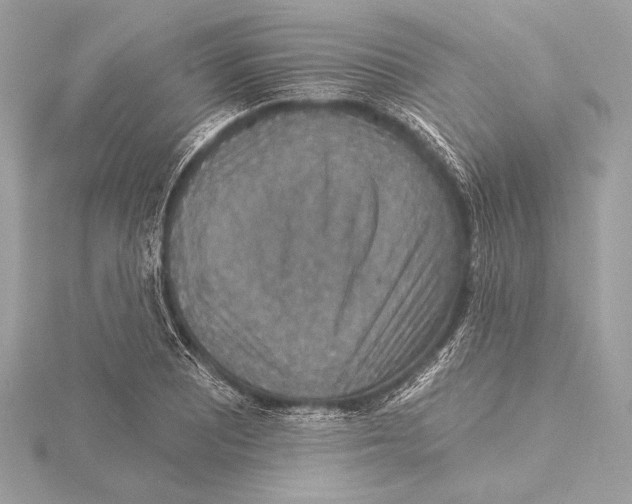 X0000115351081200912011047