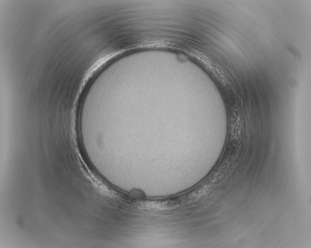 X0000115351086200912011047