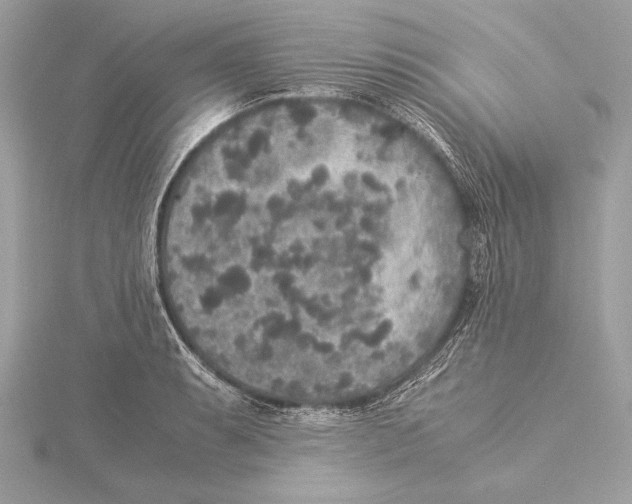 X0000115351087200912011047