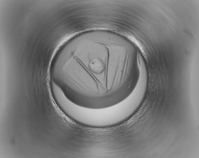 X0000115351088200912011047