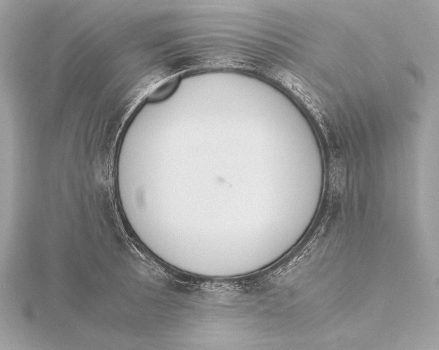 X0000115351089200912011047