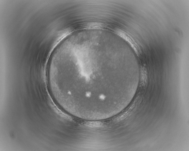 X0000115351090200912011047