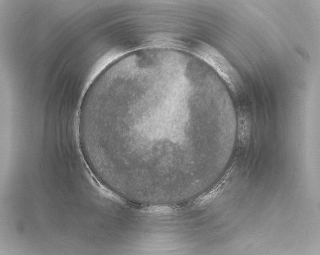 X0000115351094200912011047