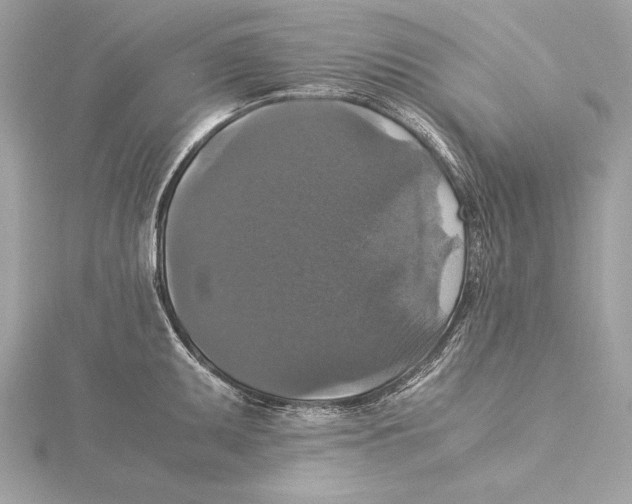 X0000115351095200912011047