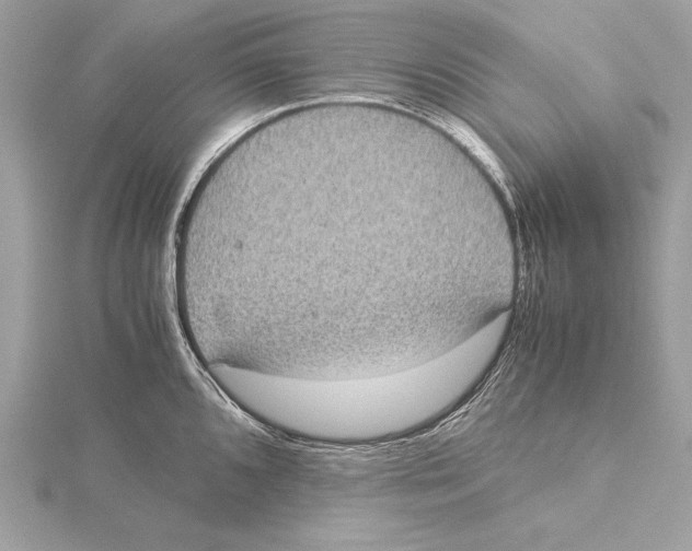 X0000115351096200912011047