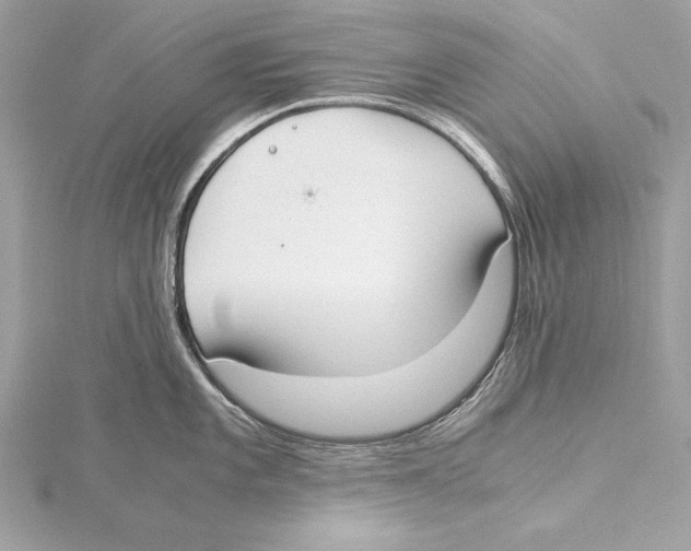 X0000115351101200912011047