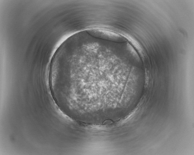 X0000115351102200912011047