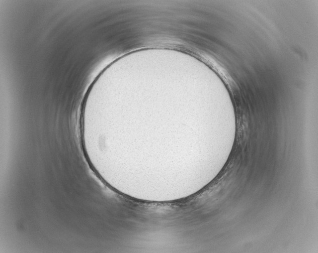 X0000115351103200912011047