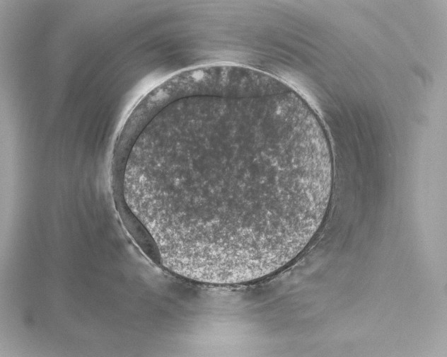 X0000115351104200912011047