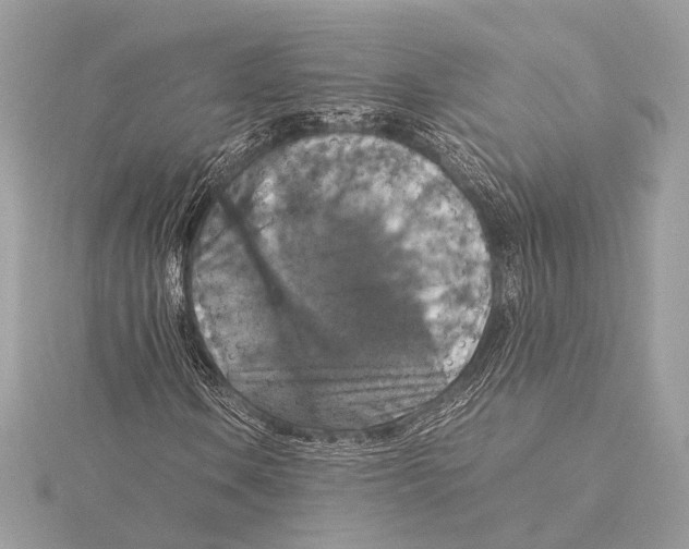 X0000115351106200912011046