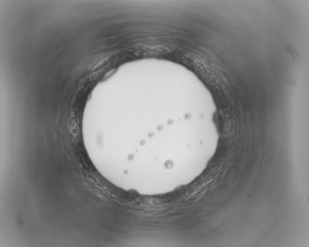 X0000115351109200912011046