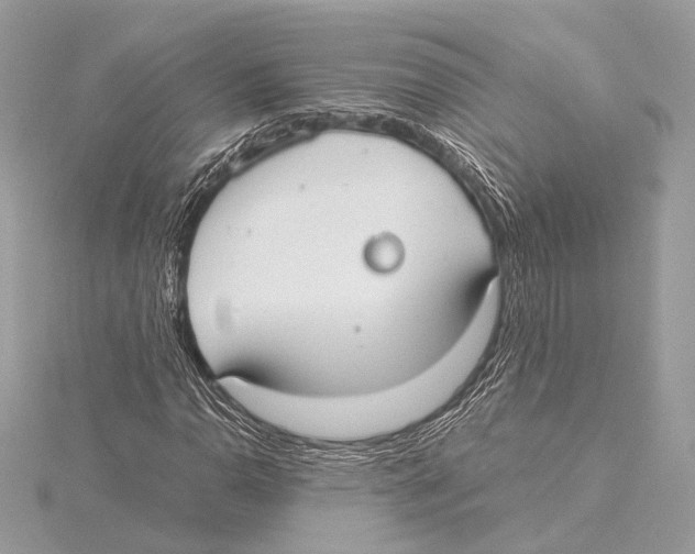 X0000115351110200912011046