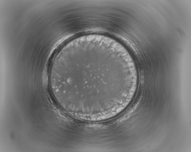 X0000115351117200912011046