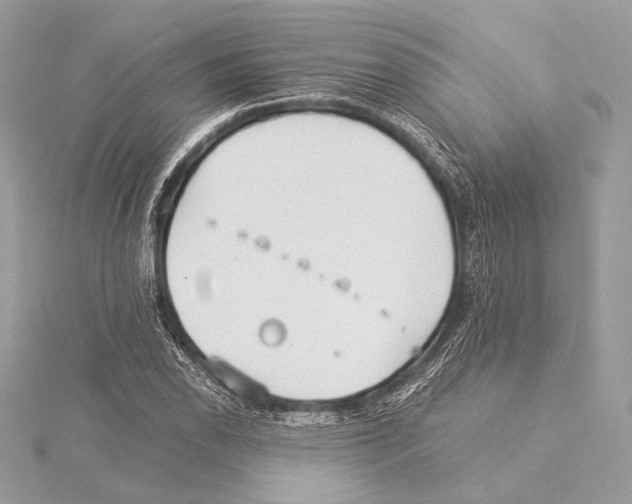 X0000115351118200912011046