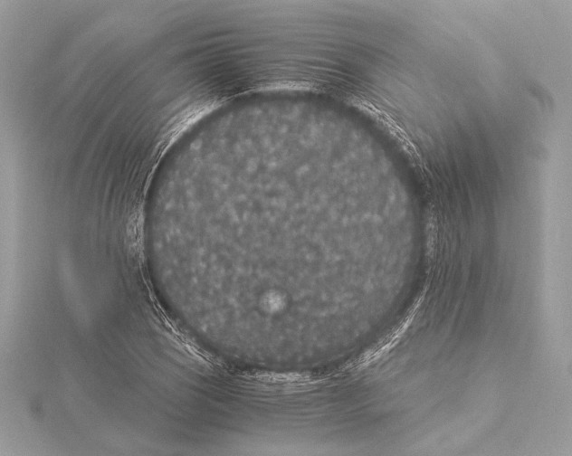 X0000115351121200912011046