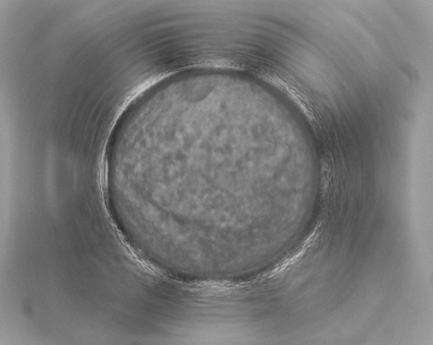 X0000115351125200912011046