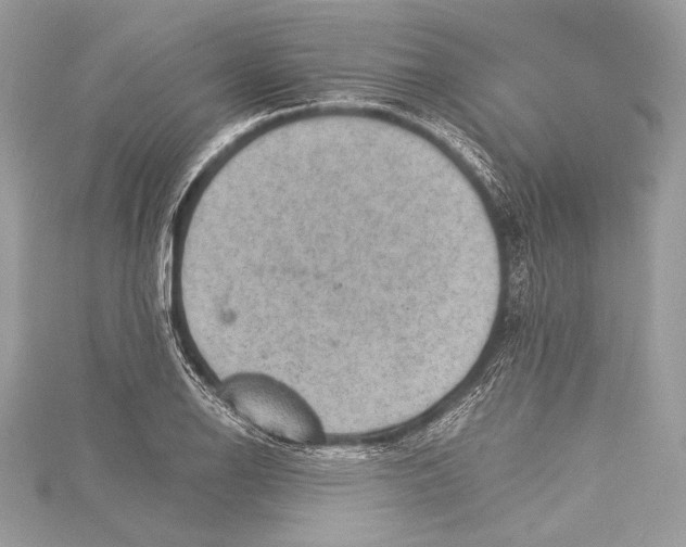 X0000115351126200912011046