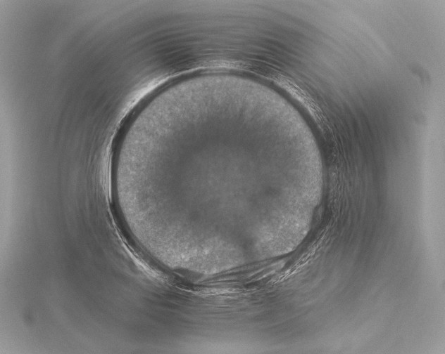 X0000115351127200912011046