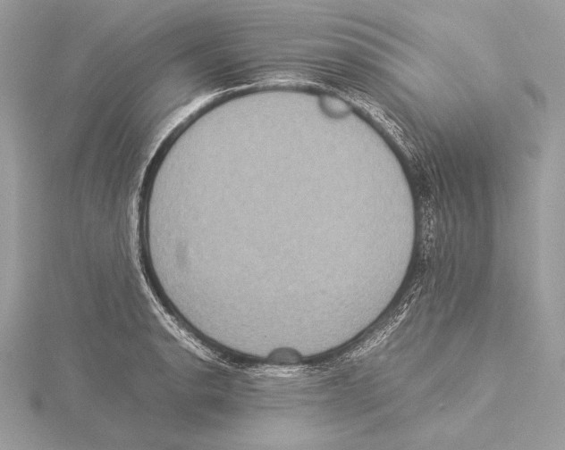 X0000115351134200912011046