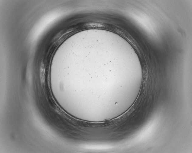 X0000115351151200912011047