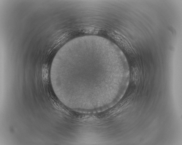 X0000115351154200912011046