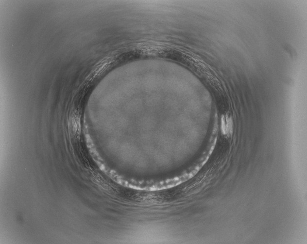 X0000115351155200912011046